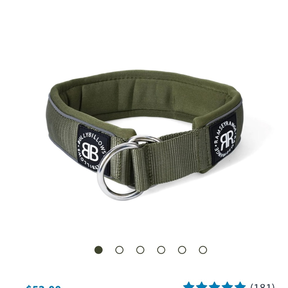 Dog Slip Collar